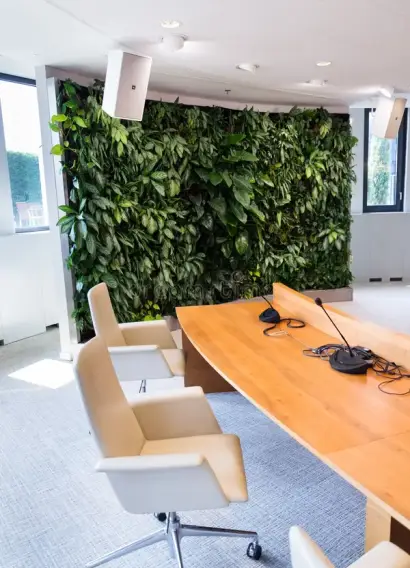 living-green-wall-vertical-garden-indoors-flowers-plants-under-artificial-lighting-meeting-boardroom-modern-office-127694811